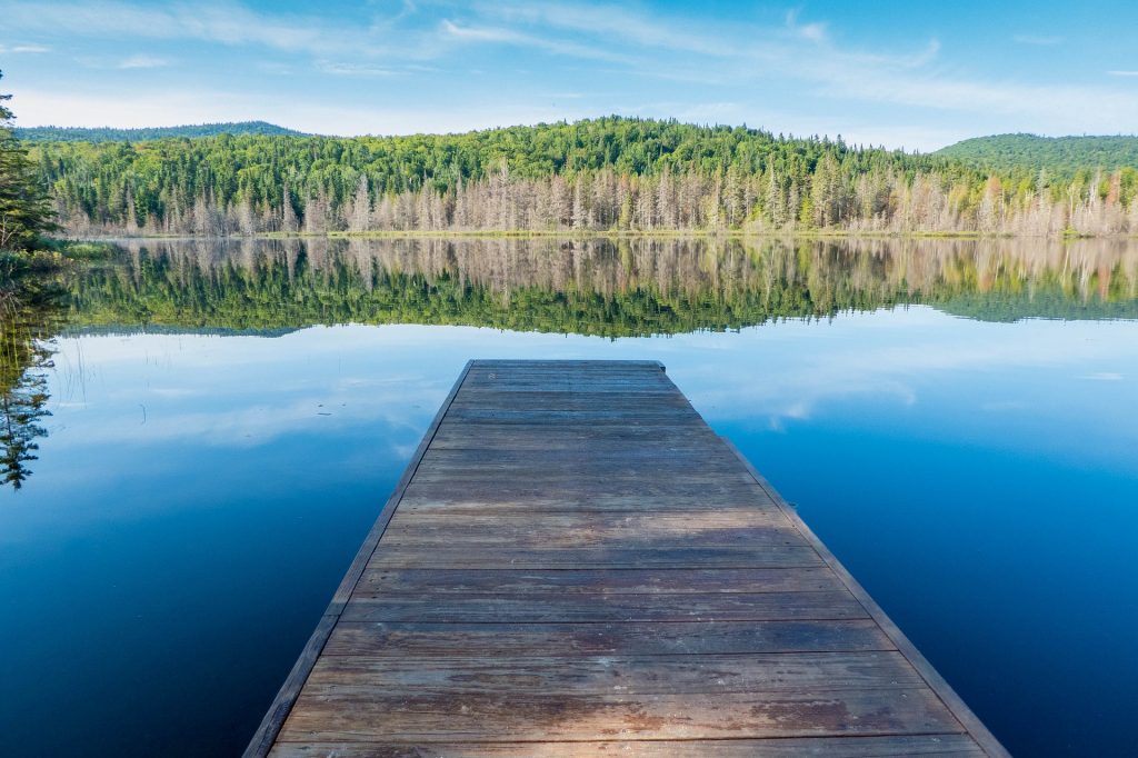 Will Change Management save my project?