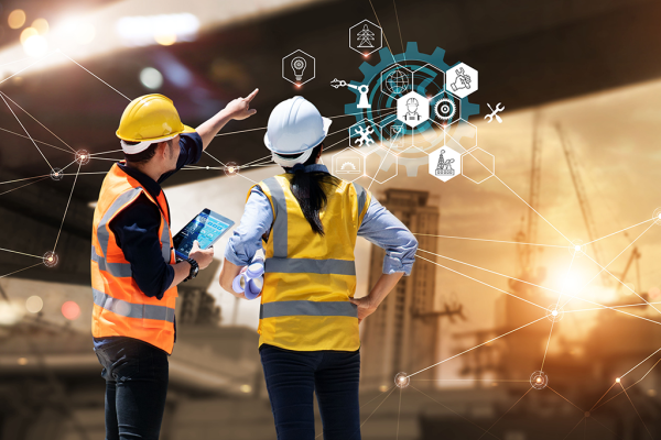 Permitting and Licensing Software